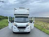 Fiat ducato Peugeot boxer frigorific thermo king