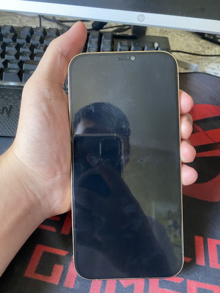 Iphone 12 pro max