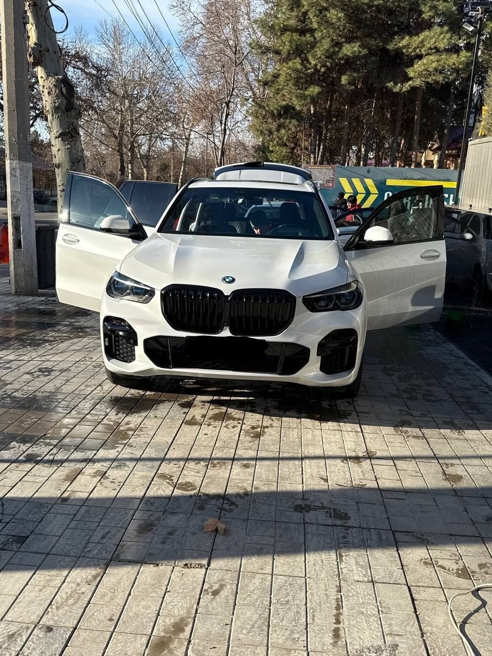 Bmw x5 Hybrid Gibrid
