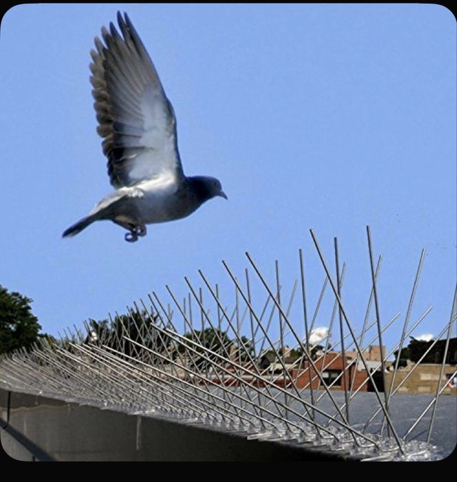 Шипы - от птиц противоусадочные