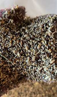 Зерноотходы ячмент пшеница 55 тг