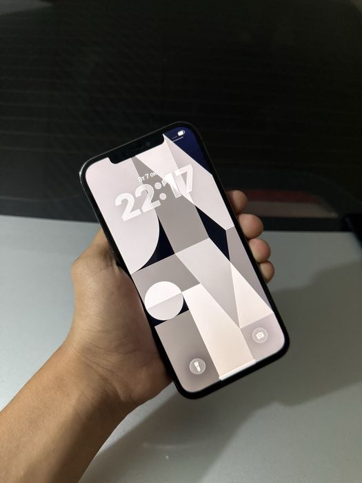 iPhone 12 Pro Max