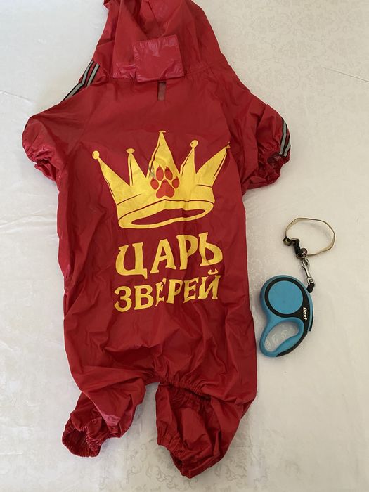 Шпица собака