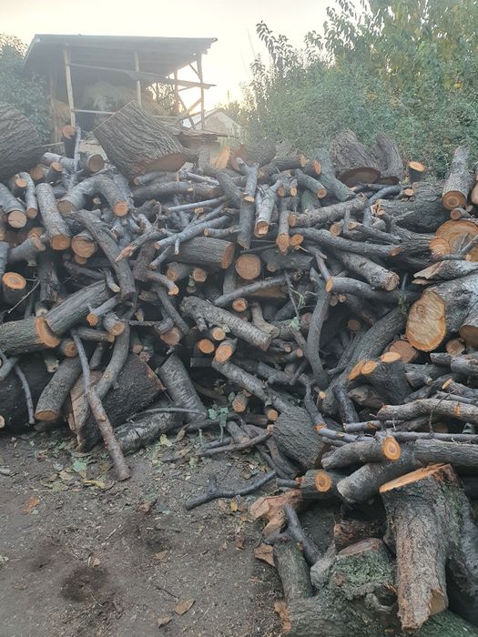 Отин сотлади яхщи отин