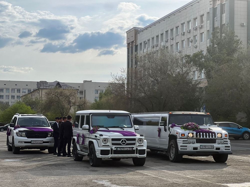 Аренда авто Прокат Кортеж Картеж Трансфер Выписка Роддом Гулянка То