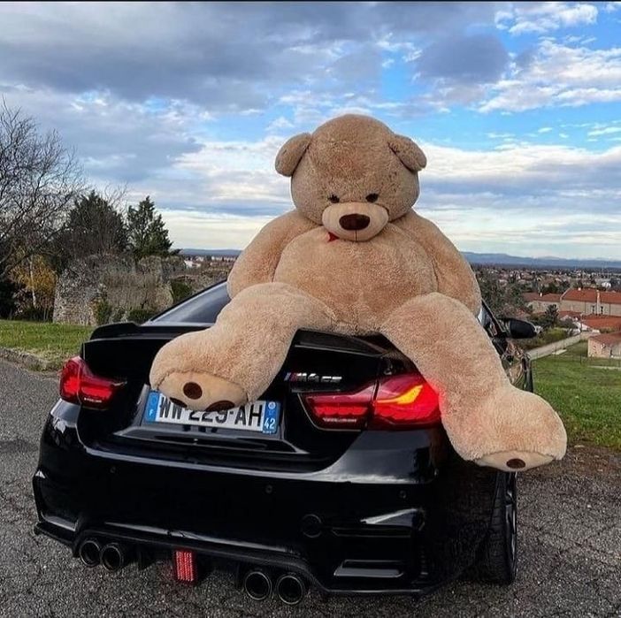 Большие плюшевые мишки 200см