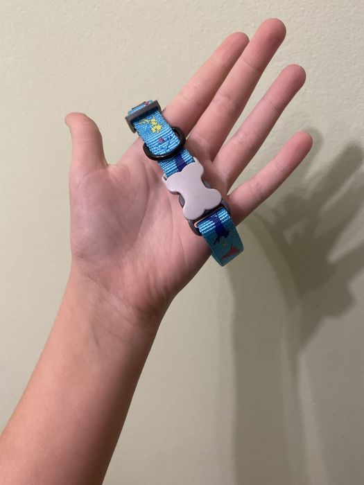 Ошейник голубой