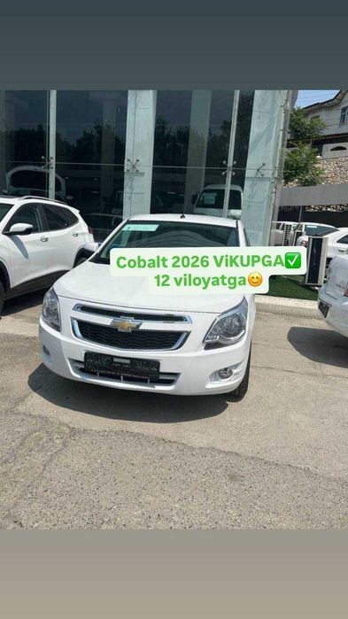 cobalt 2026 yil 12viloyatga