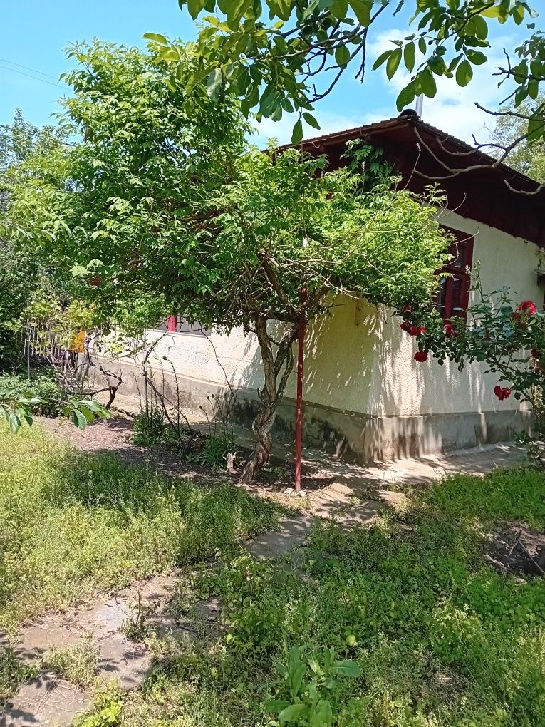Casă + grădină 1068 mp.Amaru jud.Buzau.