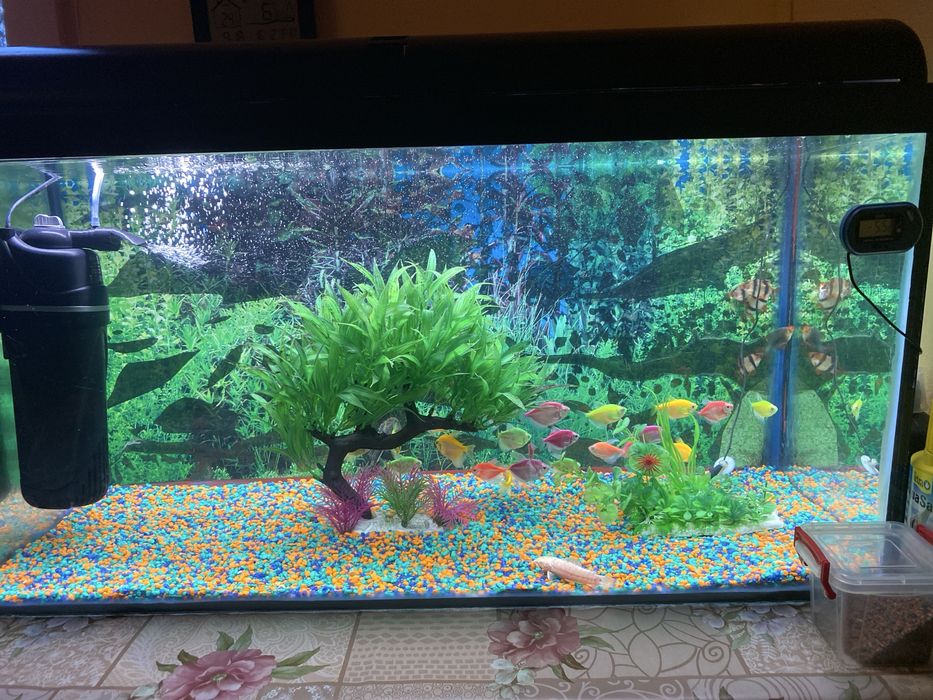 Agvariu de vanzare complect utilat