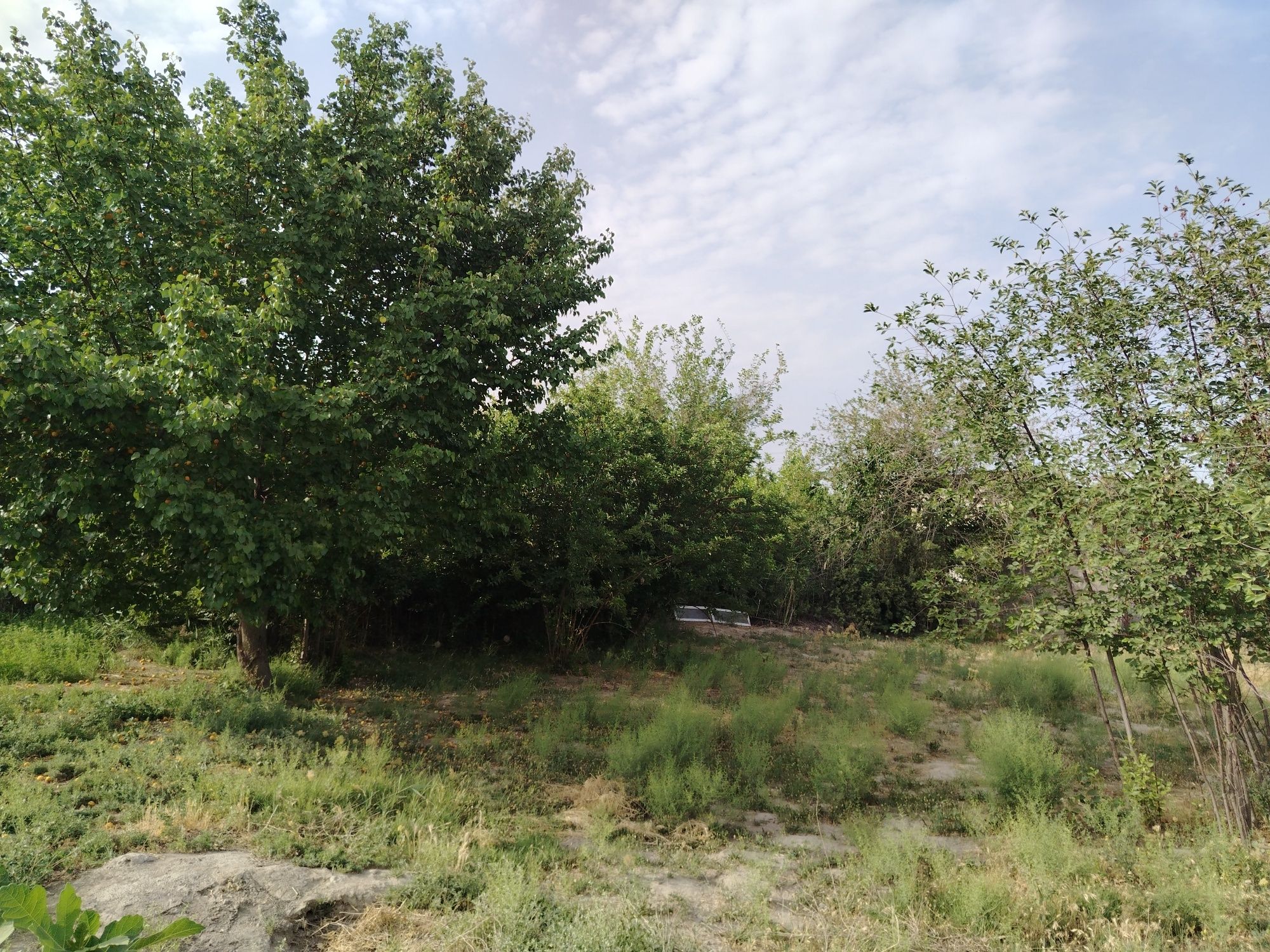 Земля 5 соток размер 25×20