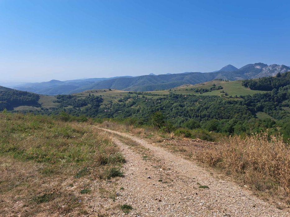 Teren extravilan și intravilan,Ramet,Transapuseana