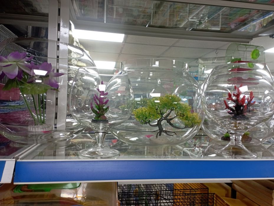 Аквариумы  новые