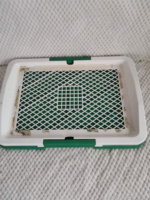 Тоалетна за куче