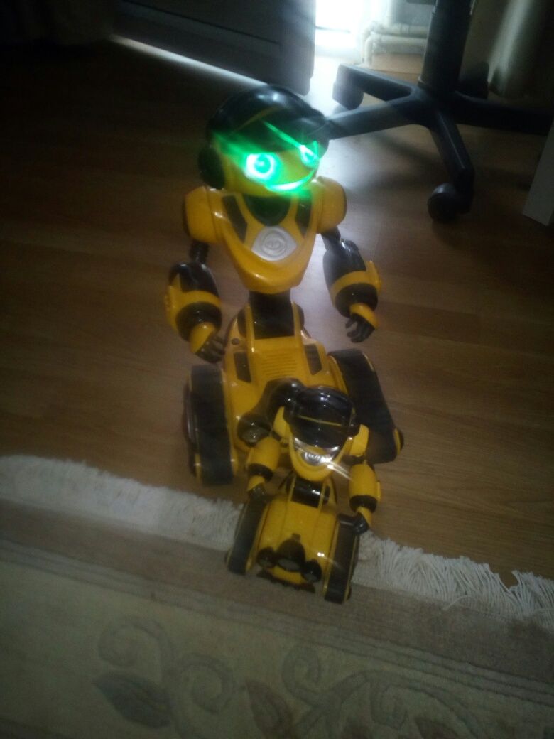 Vand 2 roboti pe senile roborover