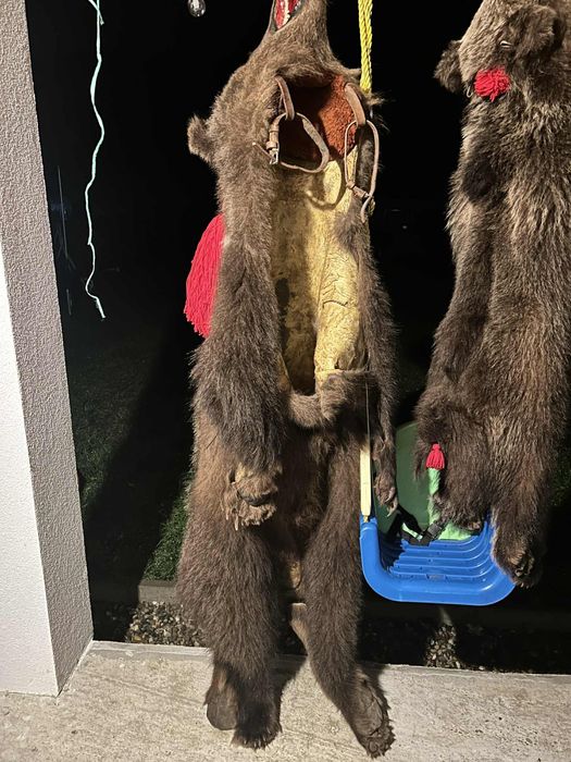 Vand piele blana de urs