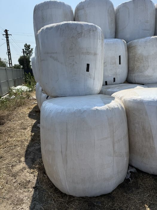 Baloti Infoliati de Siloz