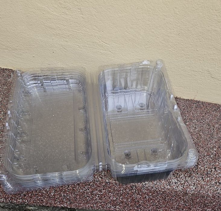 Caserole Fructe 500 gr