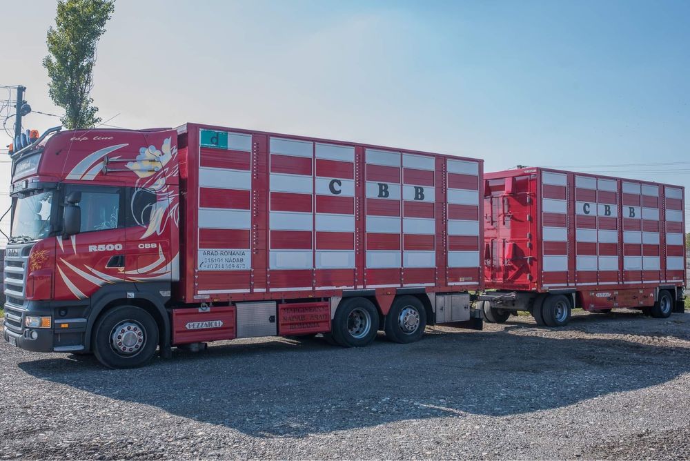 Transport Animale Vii intern+ extern