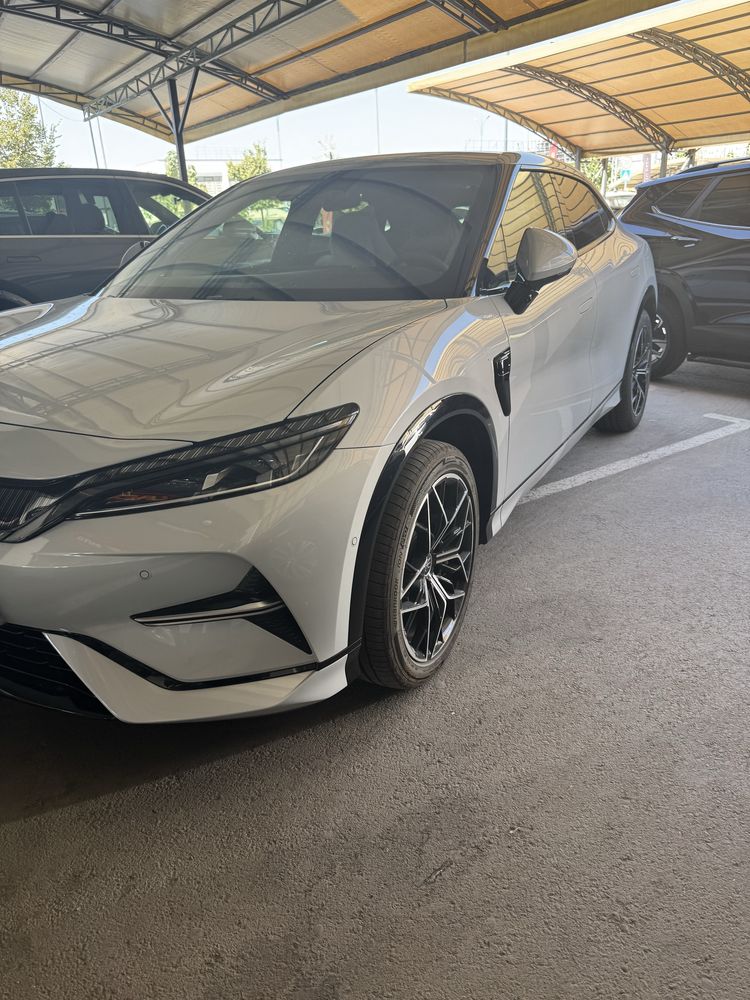 Byd Song L 5 full dual mator notarius tayyor