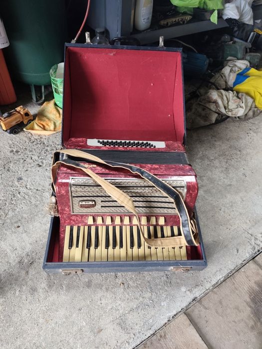 Acordeon Timiș 48 basi