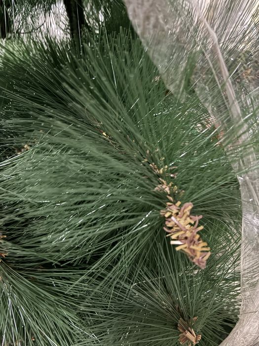 Продается ёлка новогодняя