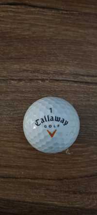 Minge golf -  Callaway 1