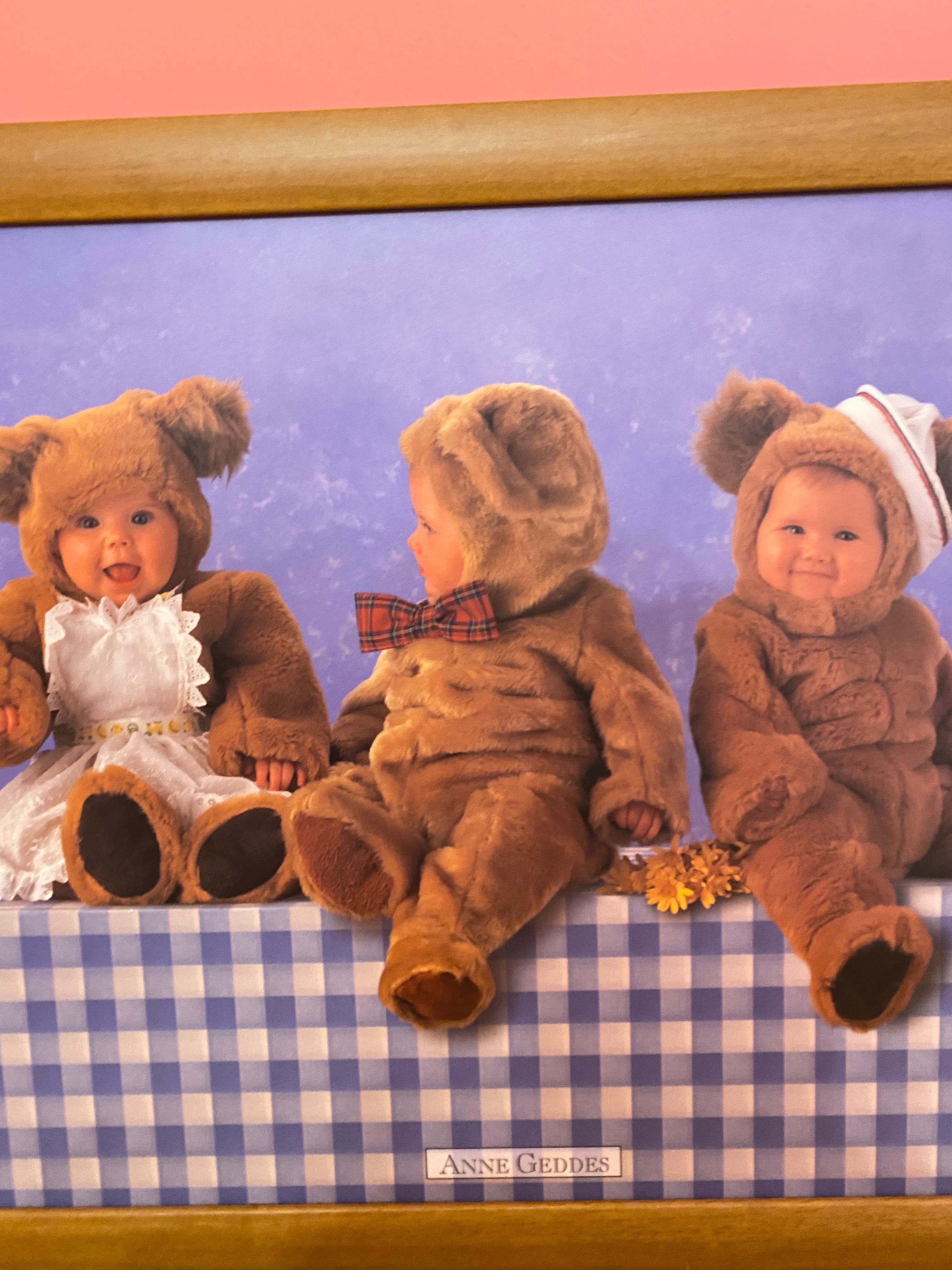 Картина в деревянной раме. Знаменитая детская серия Anne Geddes