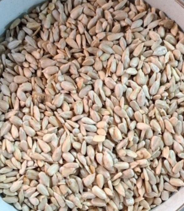 Продается оптом семечки