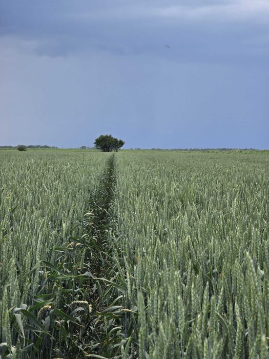 Vând fermă agricola