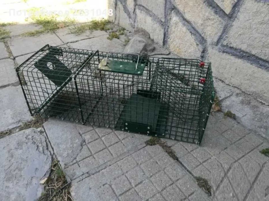 Капан за невестулки белки, съсели и др
