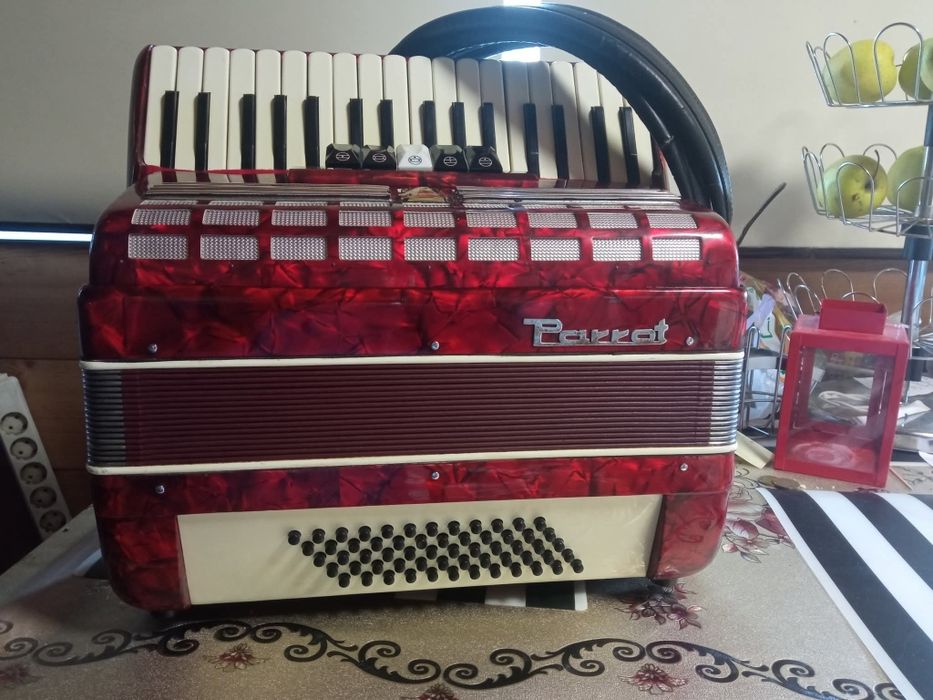 Acordeon impecabil