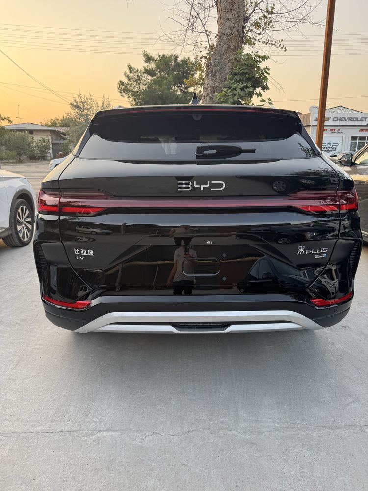 Byd chempion smart