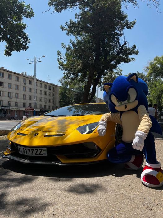 Ростовые куклы, Аниматоры, оформление шарами