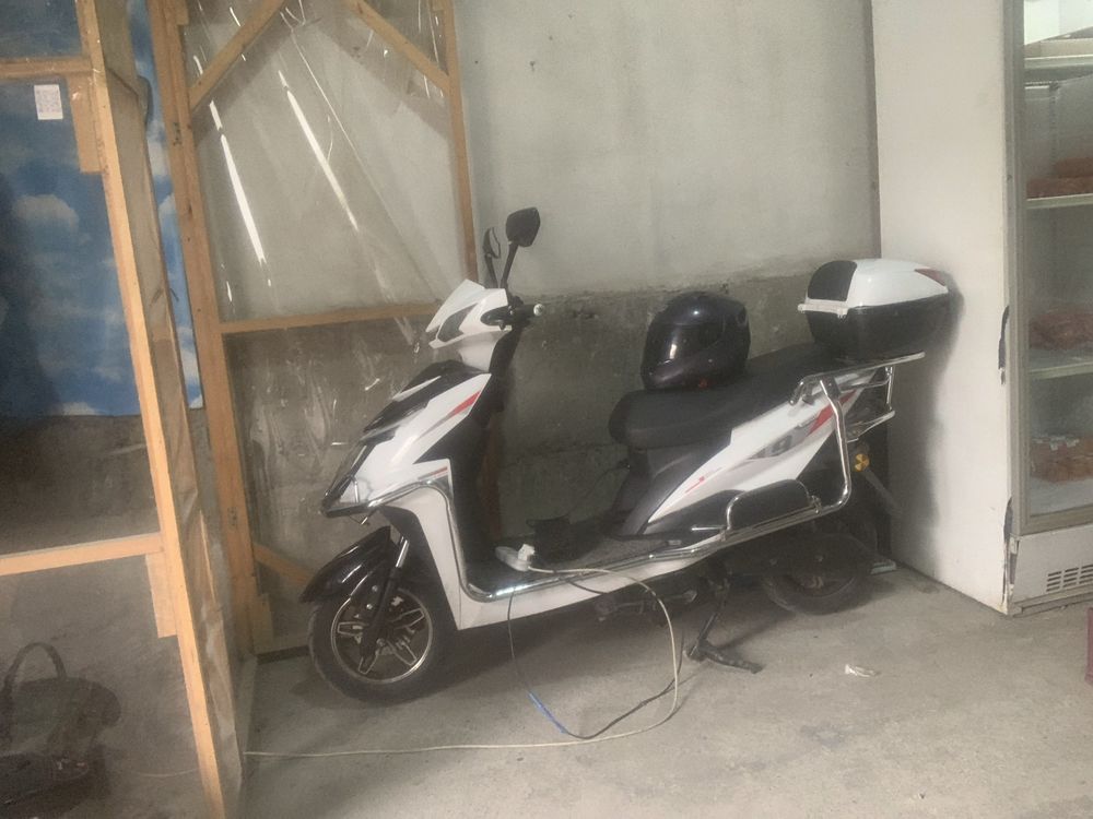 sukter sotiladi rangi oq