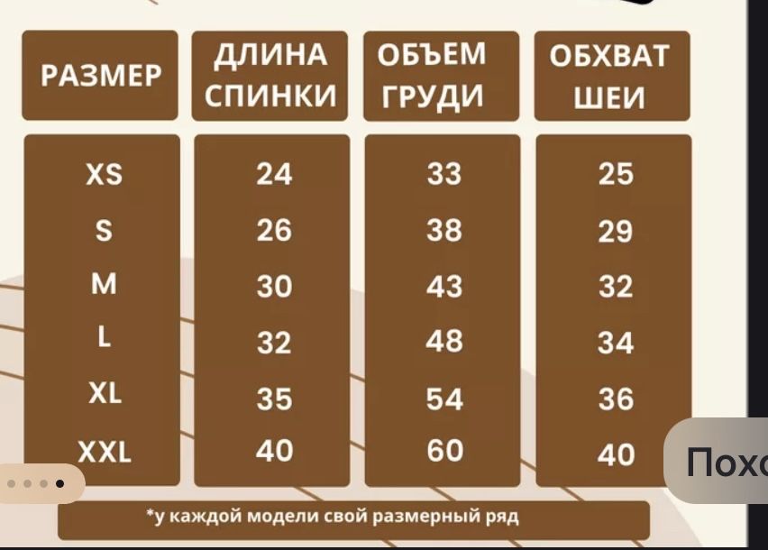 Одежда для собак