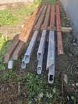 racoante forestier exte