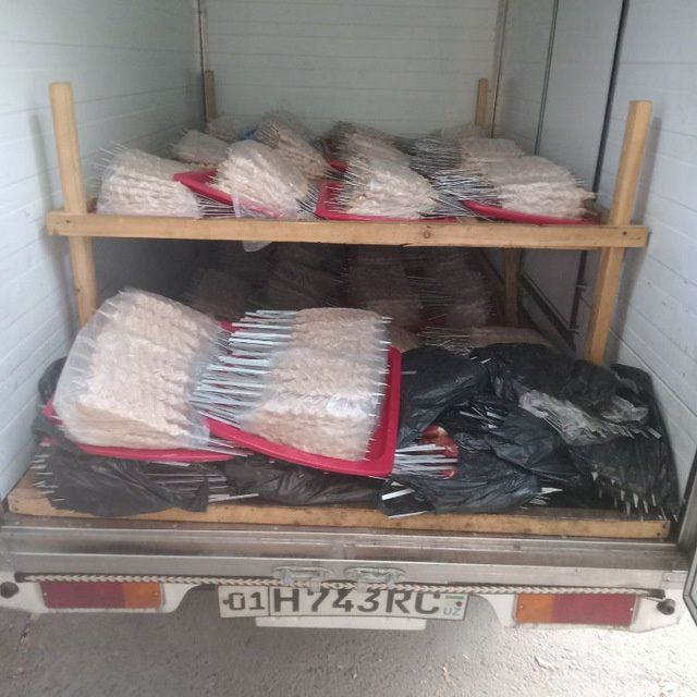 Ходок учун пшган шашлила чкази бэрамиз халол  сочни ва мазали