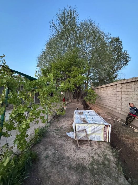 Toshkent viloyati Qibray tumani 16.5 sotix hovli sotiladi