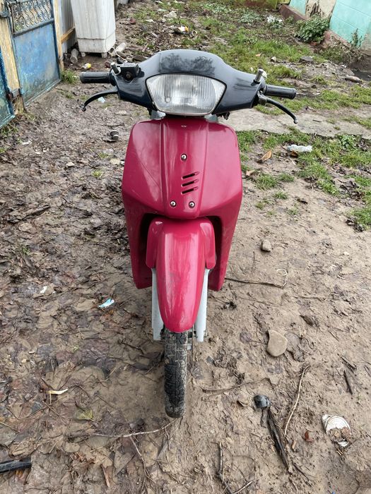 Vand honda SH 50cc