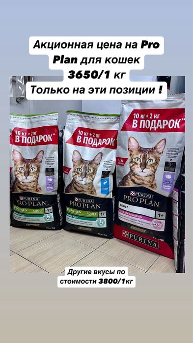 Про план корм для кошек и собак