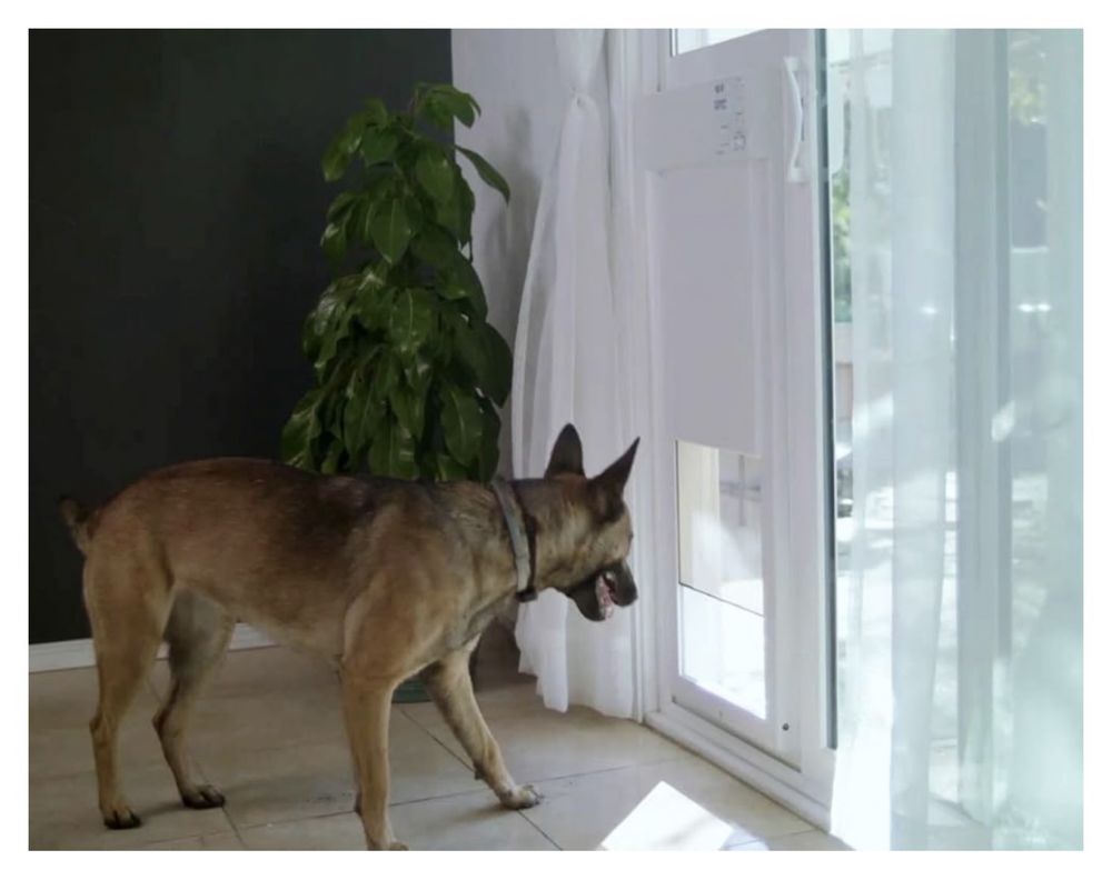 Usa cu senzor pentru caini - Power Pet Large Electronic Pet Door PX-2