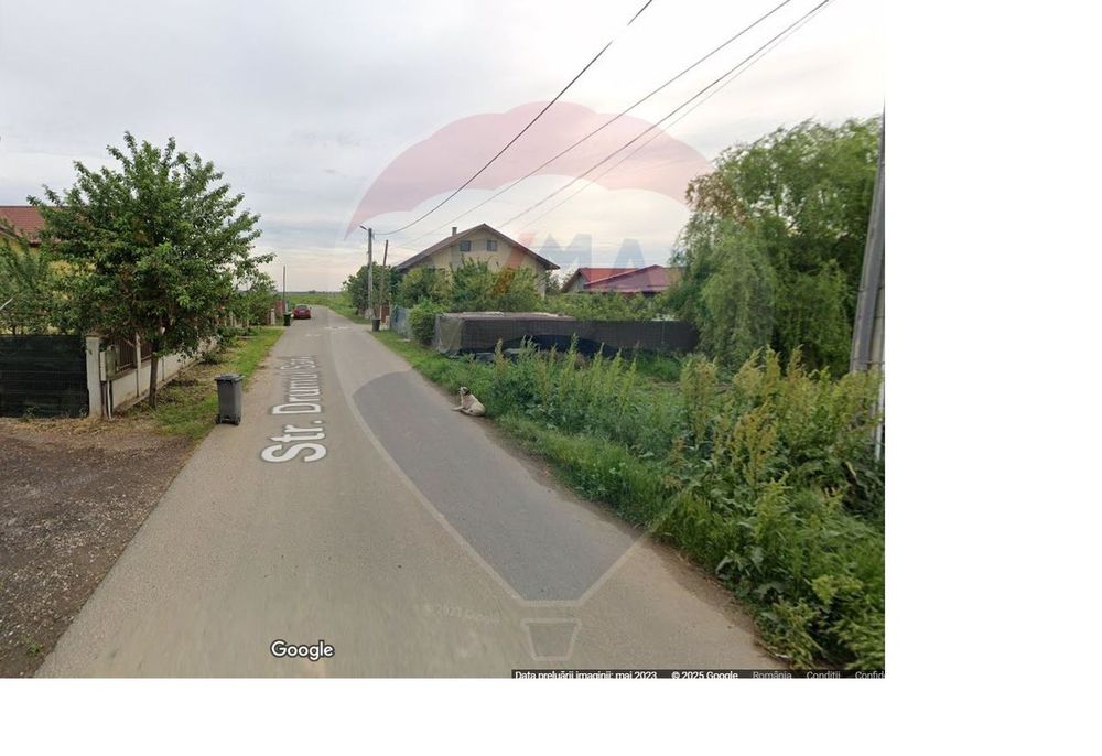 Teren intravilan de vanzare 3277 mp ,Ciorogarla.Ilfov