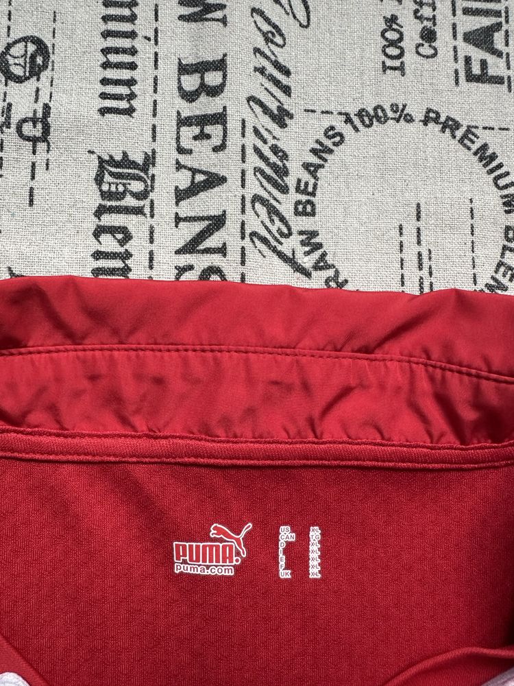 Puma Switzerland original тениска.XL