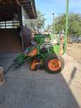 Semanatoare amazone