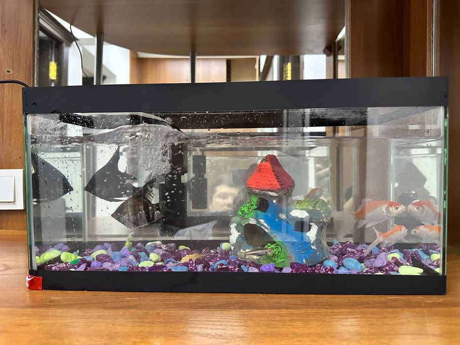 Аквариум с рыбками