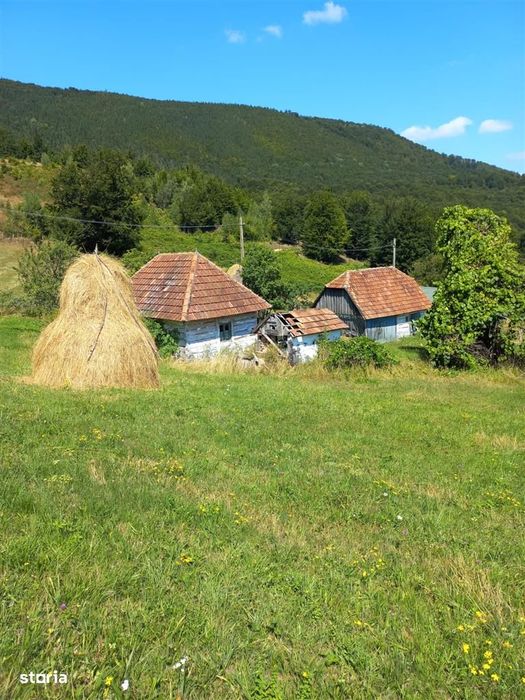 Teren intravilan,cu panorama,Ponoara,Bratca,Bihor