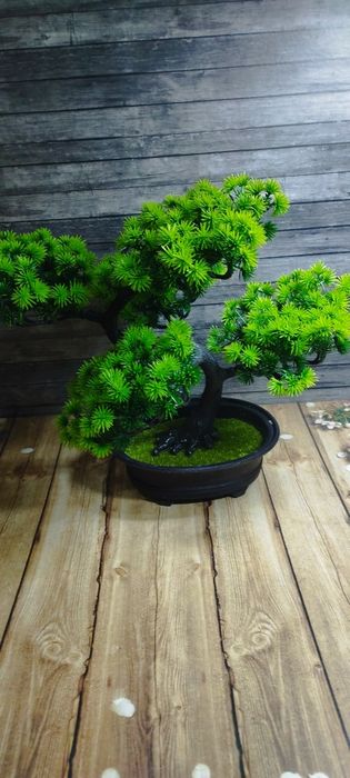 Бонсай декор для дома, офиса, кафе