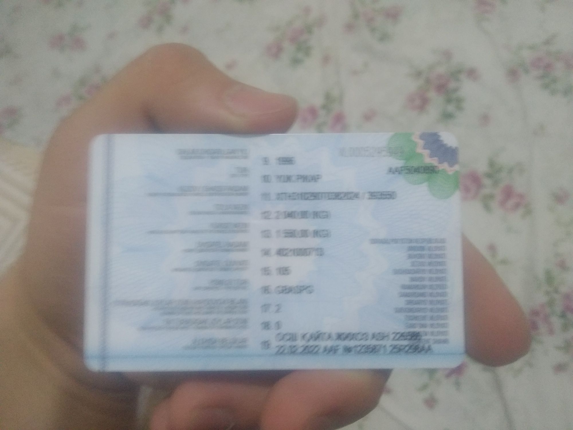 Pekap 31029 sotiladi