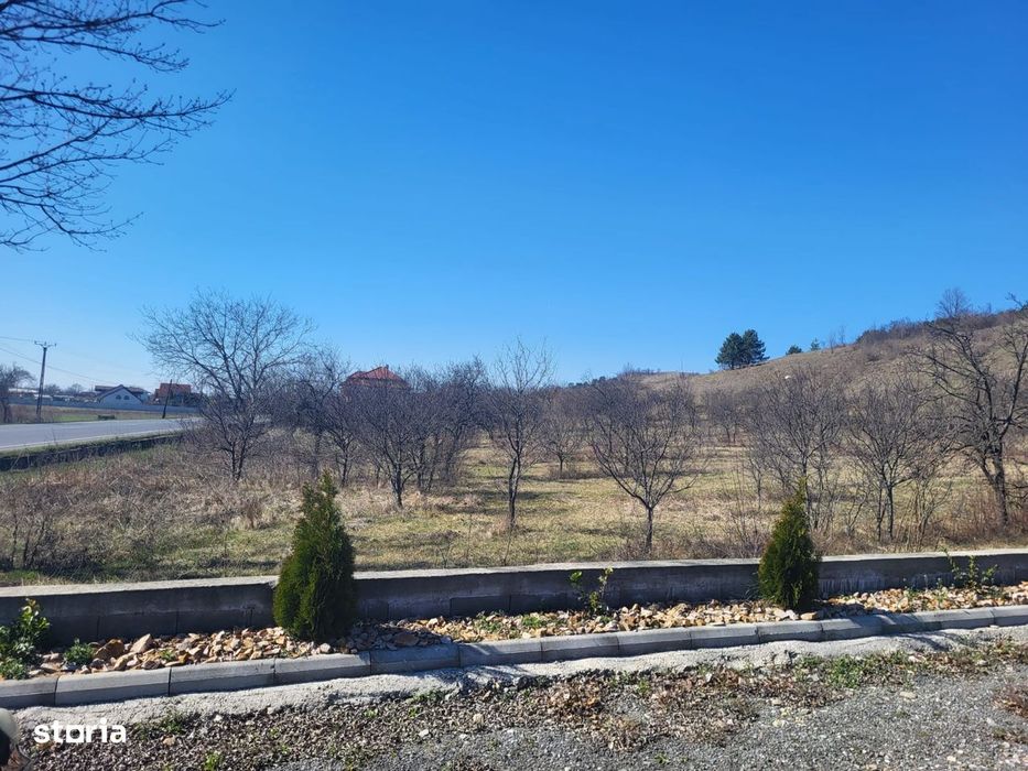 Parcele de vânzare în Tinăud Bihor